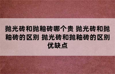 抛光砖和抛釉砖哪个贵 抛光砖和抛釉砖的区别 抛光砖和抛釉砖的区别优缺点